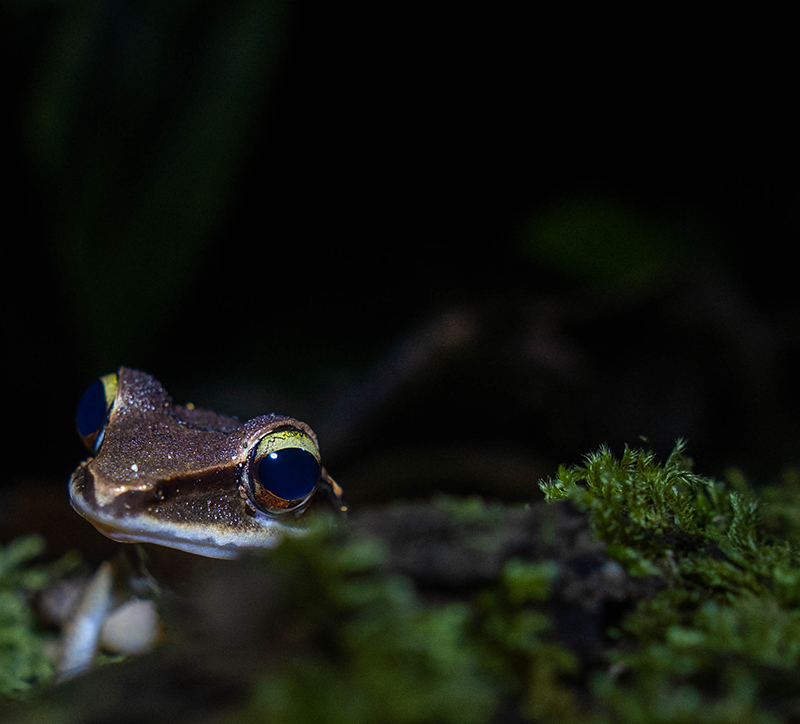 galeria-ostional-(11)