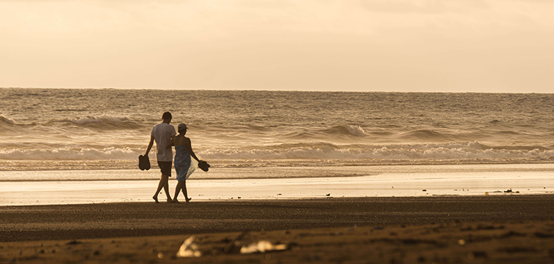 galeria-ostional-(13)