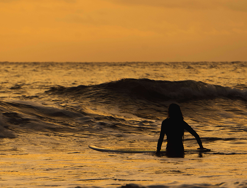 galeria-ostional-(14)