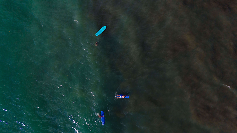 galeria-ostional-(5)