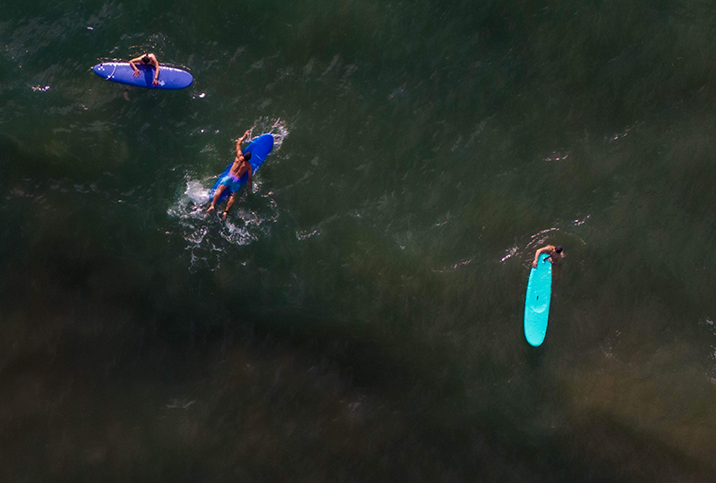 galeria-ostional-(6)