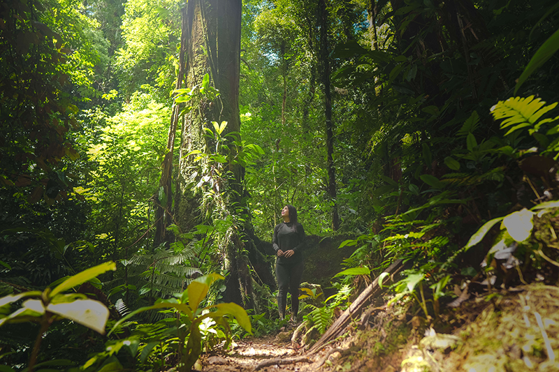 galeria-ostional-(7)