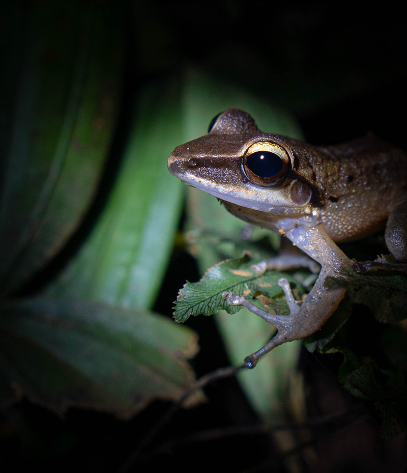 galeria-ostional-(9)